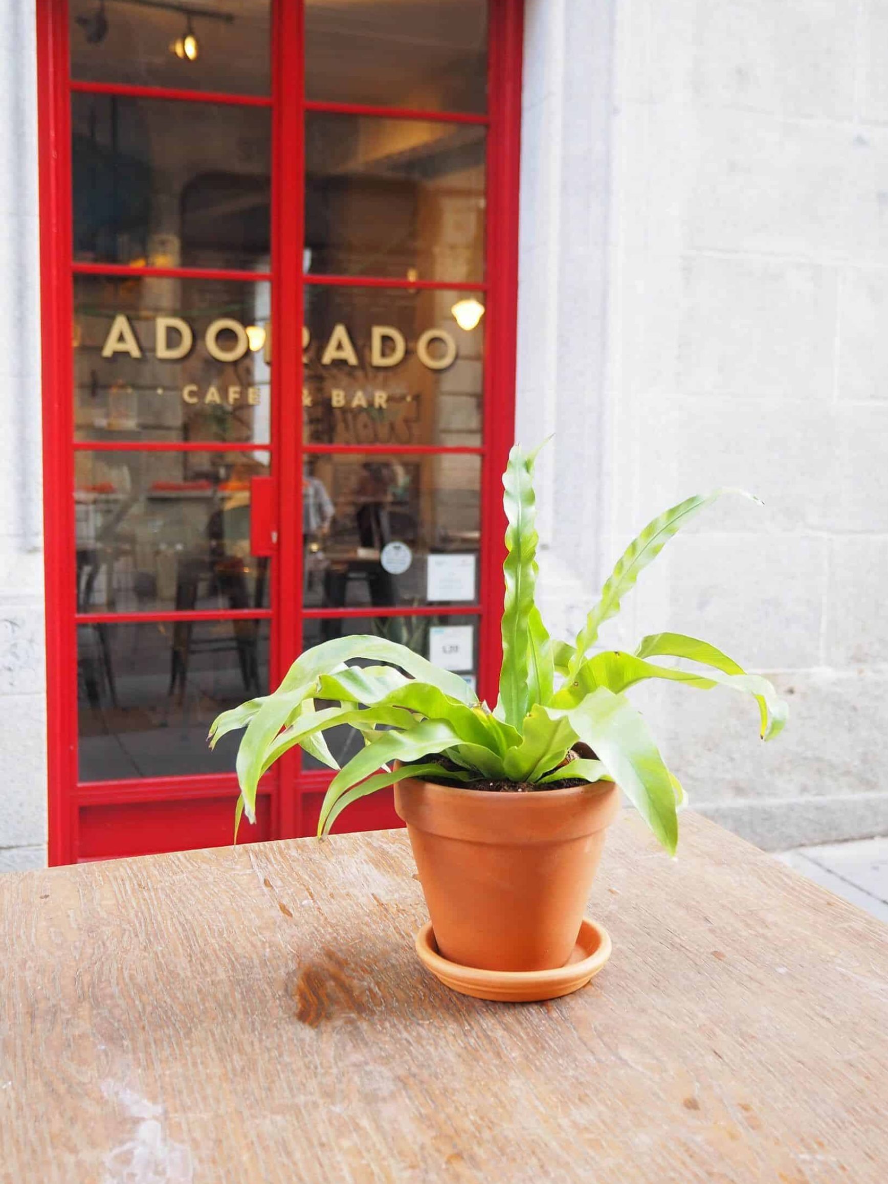 Mapa_y_Pincel_Madrid_adorado_Bar_brunch